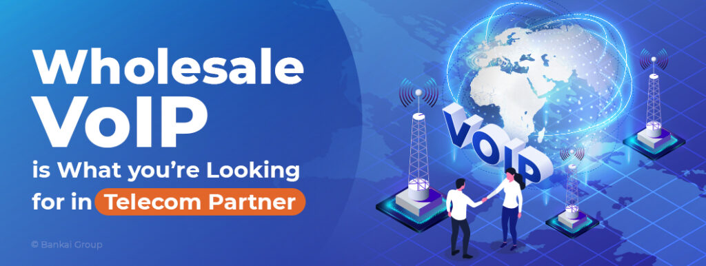 Wholesale VoIP Empowers Businesses