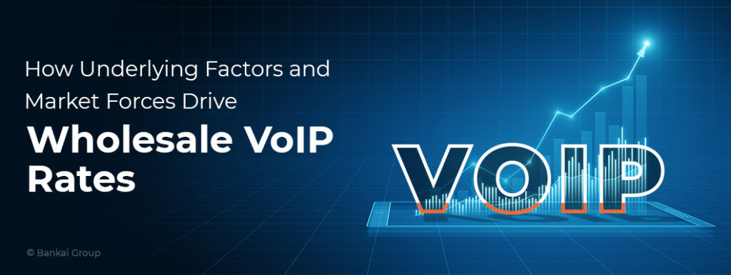 VoIP Wholesale Carrier