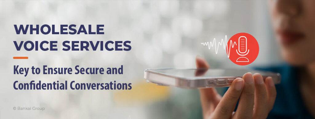 wholesale voice services conversations